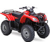 Quad Suzuki Ozark 250 (2002 - 2015)