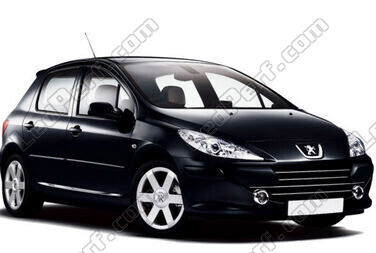 Samochód Peugeot 307 (2005 - 2008)