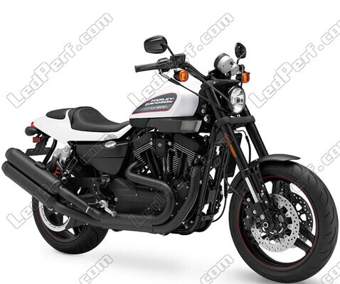 Motocycl Harley-Davidson XR 1200 X (2010 - 2013)