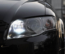 Pakiet świateł do jazdy dziennej (xenon biały) do Audi A4 B7
