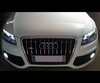Pakiet żarówek świateł przeciwmgielnych Xenon Effect do Audi Q5